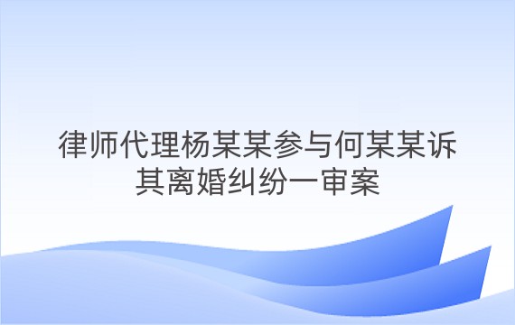 律师代理杨某某参与何某某诉其离婚纠纷一审案