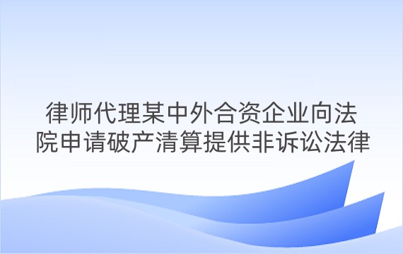 律师代理某中外合资企业向法院申请破产清算提供非诉讼法律服务案