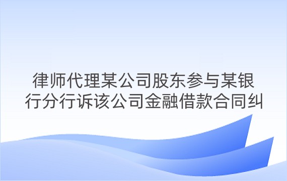 律师代理某公司股东参与某银行分行诉该公司金融借款合同纠纷一审、二审案