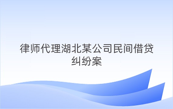 律师代理湖北某公司民间借贷纠纷案