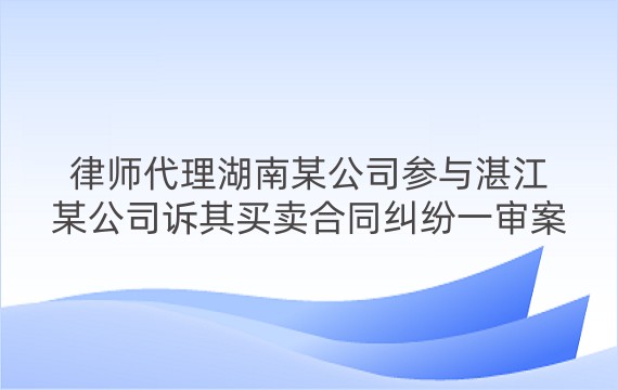 律师代理湖南某公司参与湛江某公司诉其买卖合同纠纷一审案