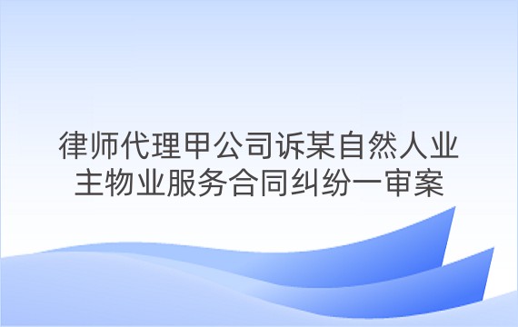 律师代理甲公司诉某自然人业主物业服务合同纠纷一审案