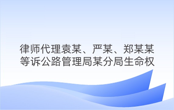 律师代理袁某、严某、郑某某等诉公路管理局某分局生命权纠纷二审案