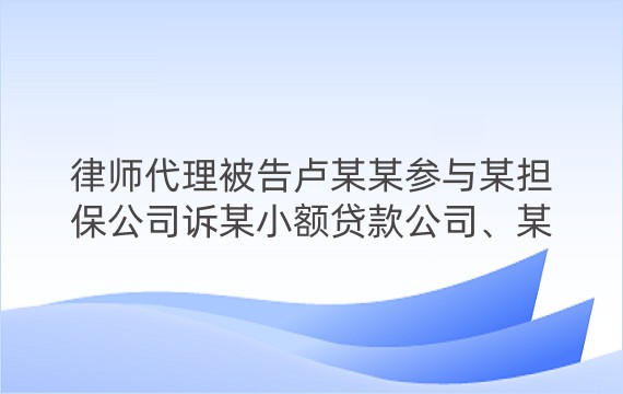 律师代理被告卢某某参与某担保公司诉某小额贷款公司、某实业公司、卢某某等民间借贷纠纷一审案