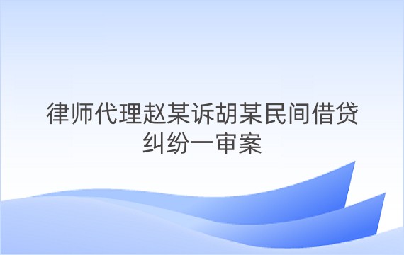 律师代理赵某诉胡某民间借贷纠纷一审案