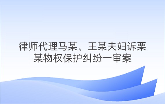 律师代理马某、王某夫妇诉栗某物权保护纠纷一审案