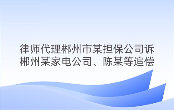 律师代理郴州市某担保公司诉郴州某家电公司、陈某等追偿权纠纷一审案