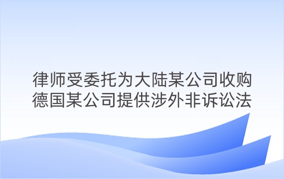 律师受委托为大陆某公司收购德国某公司提供涉外非诉讼法律服务案